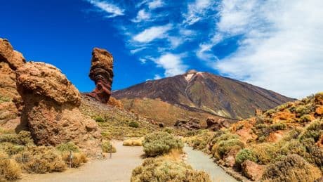 Forest fire pre-alert issued for Canary Islands in warning for summer holidays