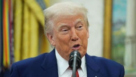 Handel: Hin und Her um Trumps Zölle vor Gericht – Was bedeutet das?