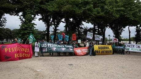 « On s’est pris une baffe » : au lendemain du rejet stratégique de la proposition de loi Duplomb, les opposants veulent se faire entendre