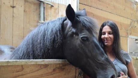 «Los niños aprenden a leer señales de los caballos para construir vínculos afectivos»