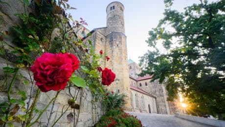 Programm in Welterbestätten: Kultur und Natur beim Welterbetag