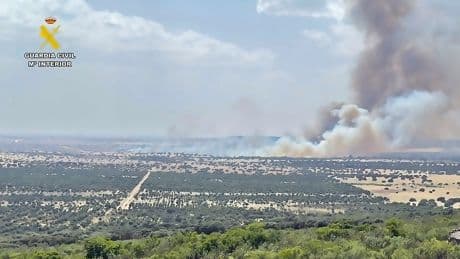 Un fallo eléctrico en una planta fotovoltaica desató el incendio forestal de Casas de Don Pedro