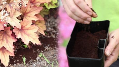Gartenexperte verrät: Dieses Abfallprodukt lässt Ihre Pflanzen üppig wachsen