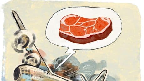 Argentina: refugio, esperanza y carne