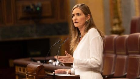 El sector renovable tilda de "error" la caída del 'decreto antiapagones' y reclama una solución de urgencia