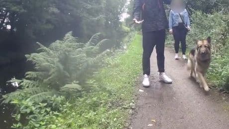 Mum 'traumatised' after dog walker pushes her in canal as she cycles to work