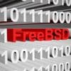 OPNsense 25.1.11: Letztes Maintenance-Release vor Version 25.7
