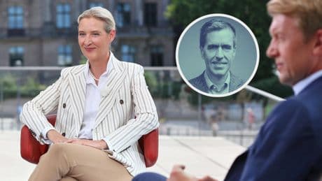 ARD-Sommerinterview Und Alice Weidel lächelt