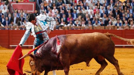 Morante, la memoria del toreo y dos que se han olvidado de torear: nueva lección del maestro de La Puebla en Sevilla