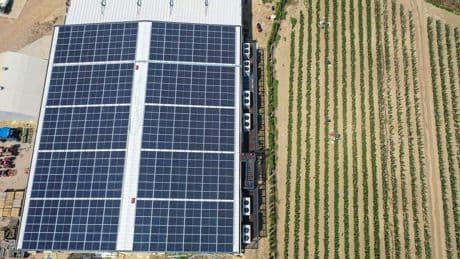 Elektriğe para vermiyor, çokça üretiyor! 1 milyon adet üretti, fazlasını enerji şirketine sattı! 8 ülkede ondan alıyor