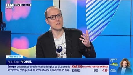 Culture IA : Fin de skype, la visio se réinvente, par Anthony Morel - 05/05