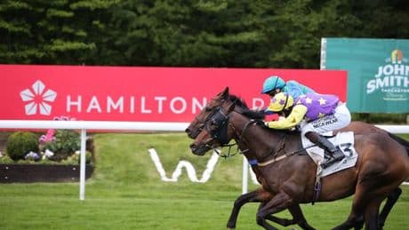 Newsboy’s horseracing tips for Friday’s six meetings, including Hamilton Nap