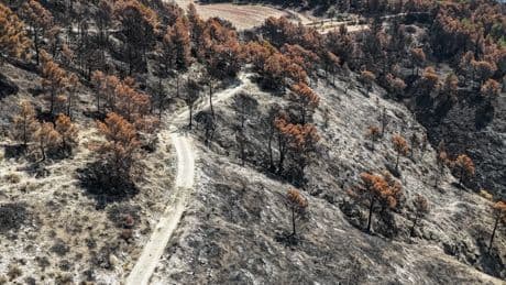 El Govern destinará 75 millones en cinco años a crear franjas de protección contra los incendios