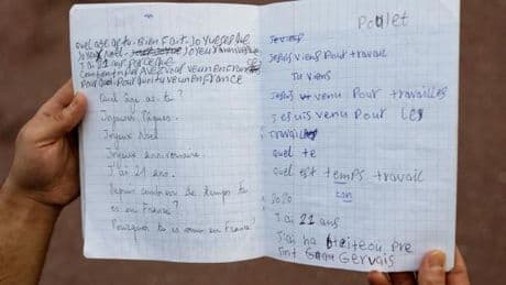 Immigration : une meilleure maîtrise du français exigée, moins de moyens pour y parvenir