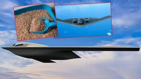B-2 gizli bombardıman uçağı pilotundan tuvalet itirafı: Bolca kedi kumu