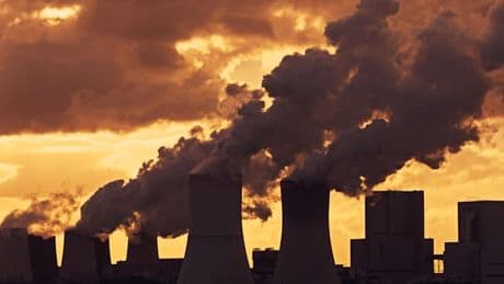 „Das Loch ist kolossal“ – Die Idee vom Klimaschutz-Kontinent droht zu scheitern