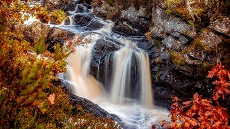 Woman dies after falling into water at beauty spot