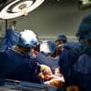 Première greffe de la vessie : pour quelles raisons éthiques ou techniques certains organes résistent-ils encore à la transplantation ?
