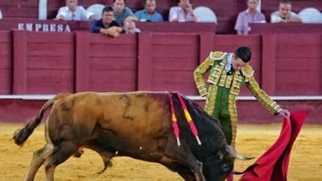 Dos orejas para Molina en la tarde de la alternativa de Pablo Páez en Málaga