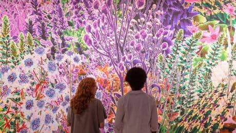 New Materials And Design Made With Other Species In Mind