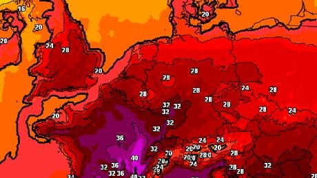 Hitzewelle kommt: 36 Grad in Sicht – DWD schlägt Alarm