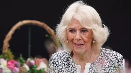 'I'm convinced Queen Camilla played key role in my knighthood after unexpected question'
