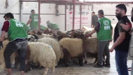 Suriye'de Kurban Bayramı heyecanı