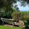 REPORTAGE. Leur jardin d’acclimatation avec vue sur mer abrite des centaines d’hydrangéas