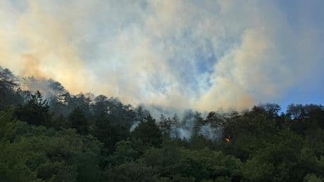 Bolu'nun Göynük ilçesinde çıkan orman yangını kontrol altına alındı