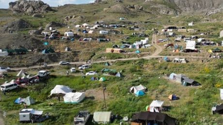 Şırnak'ta kuzu kırkma festivali başladı