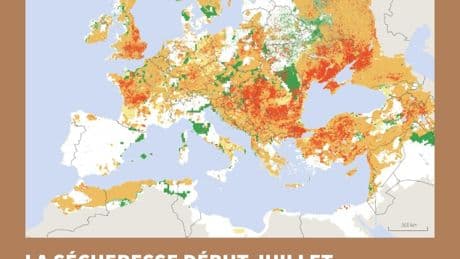 Sécheresse en Europe : la moitié des sols touchés, un taux record au début juillet