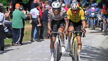 Wout van Aert bezorgt Visma-Lease a Bike eerste succes in Giro, Primoz Roglic verliest tijd door val
