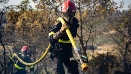 Incendie dans l’Aude : sur le terrain, des pompiers et des habitants toujours mobilisés