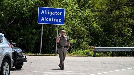 Alligator Alcatraz is holding numerous inmates with no criminal history: report