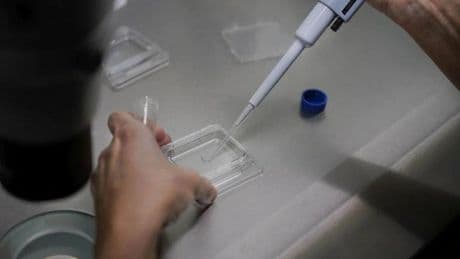 ¿Qué pasa con las OPE de Salud en Cantabria? En el examen de técnicos de laboratorio también han suspendido casi todos