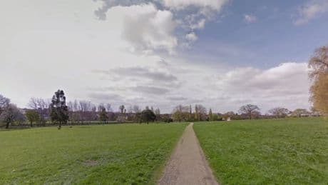 Woman pulls out huge knife and lunges at young reveller in London park