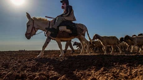 Klimawandel: Studie zeigt: Kontinente trocknen immer mehr aus