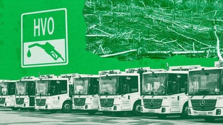 How fuel used in ‘green’ bin lorries could be destroying rainforests
