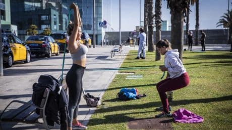 Gimnasia para intelectuales