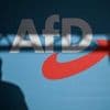 Zehn Gründe sprechen dafür: Weshalb ein AfD-Verbot nicht an Friedrich Merz scheitern wird