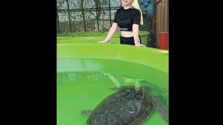 Caretta caretta gönüllüsü oldu!
