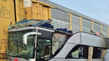 Meksika’da tren yolcu otobüsüne çarptı: 8 ölü, 45 yaralı