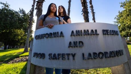 Union presses California's key bird flu testing lab for records