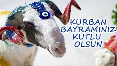 Kurban Bayramınız kutlu olsun