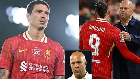 Darwin Nunez targeted as 'priority signing' by Saudi Pro League side - with Liverpool forward 'open to the possibility' of Anfield exit