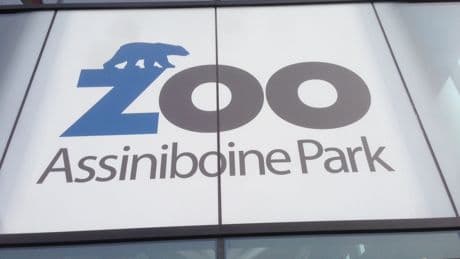 Manitoba’s smoky summer not impacting some outdoor attendances