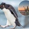 SMALL CAP MOVERS: Rockhopper seeks $140m for Falkland's offshore oil