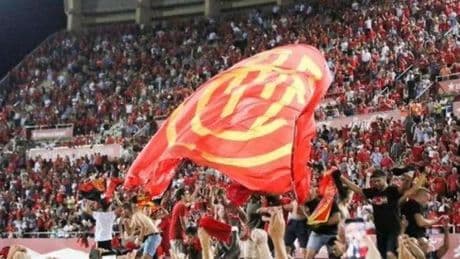 Plataforma per la Llengua exige al Real Mallorca que emita el carnet de socio en catalán y que integre esta lengua en todos sus canales de comunicación