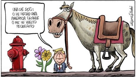 Idígoras y Pachi