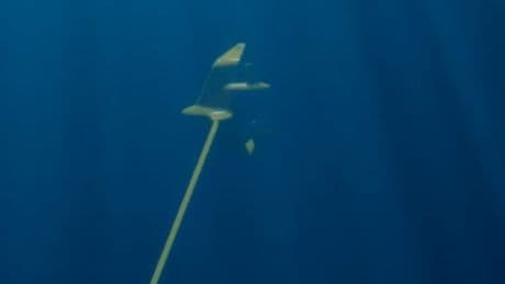 Betrieben mit Mond-Energie - Unterwasser-Flugzeug soll Stromkraftwerke ersetzen